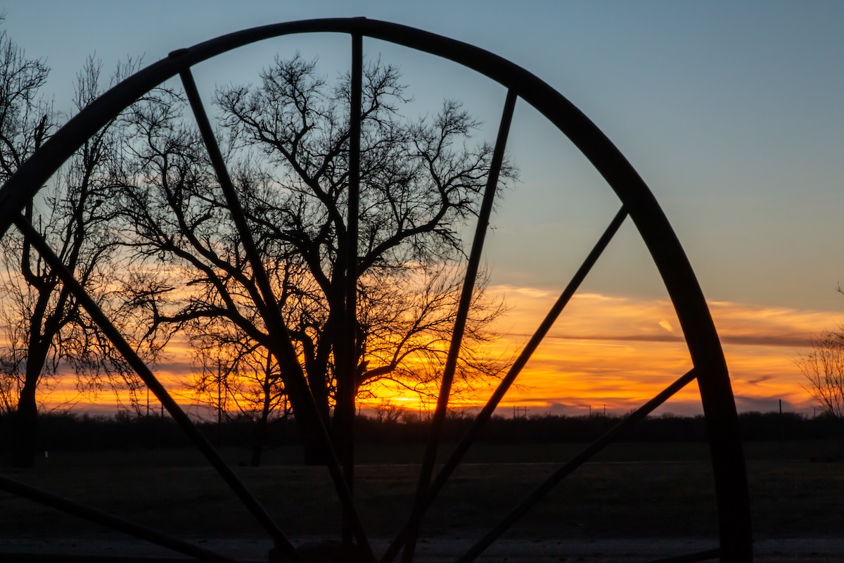 sunset-in-rural-kansas-with-trees-silhouettes-and-2026-03-17-06-57-57-utc